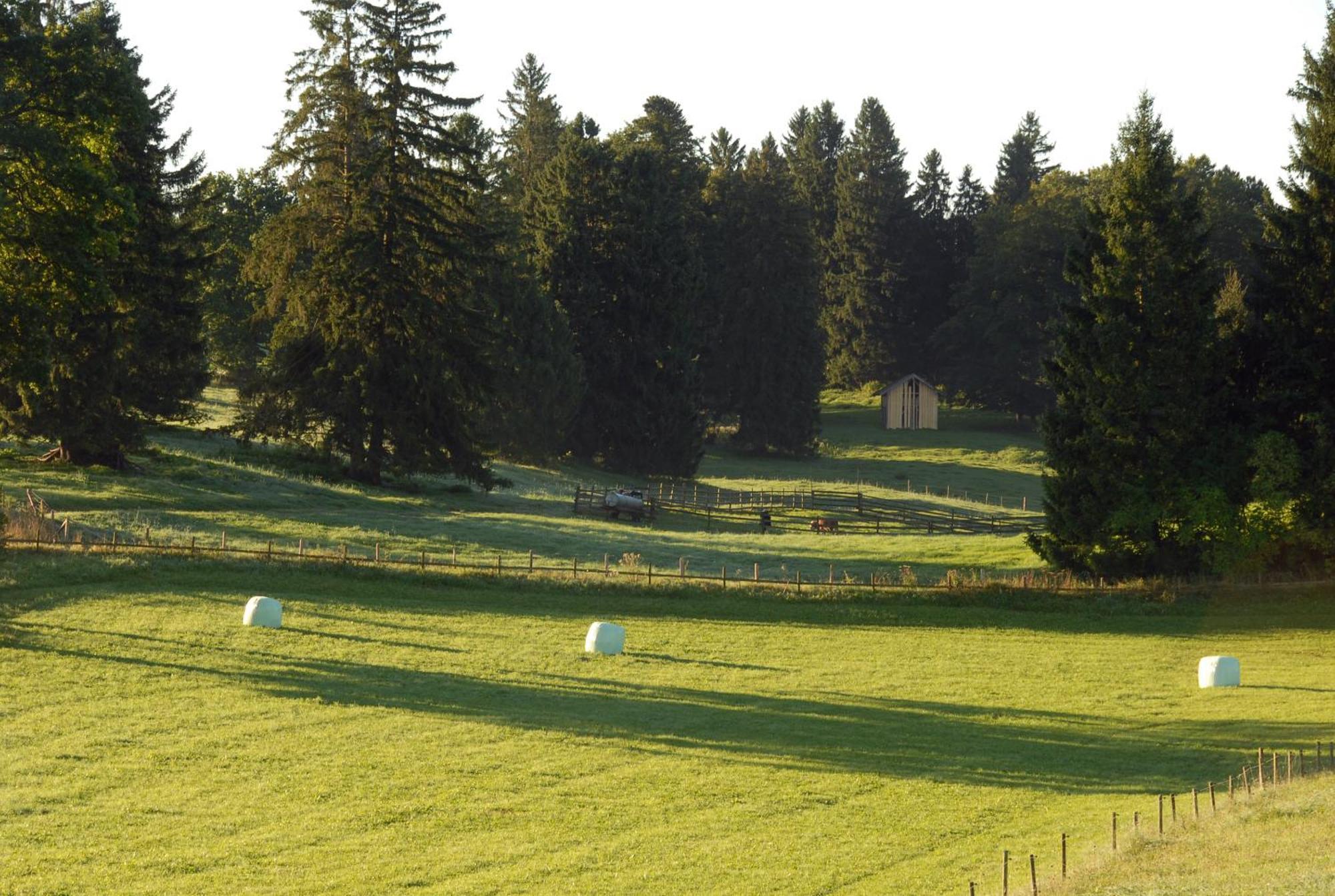 Zweilindenhof Seeshaupt Exterior foto
