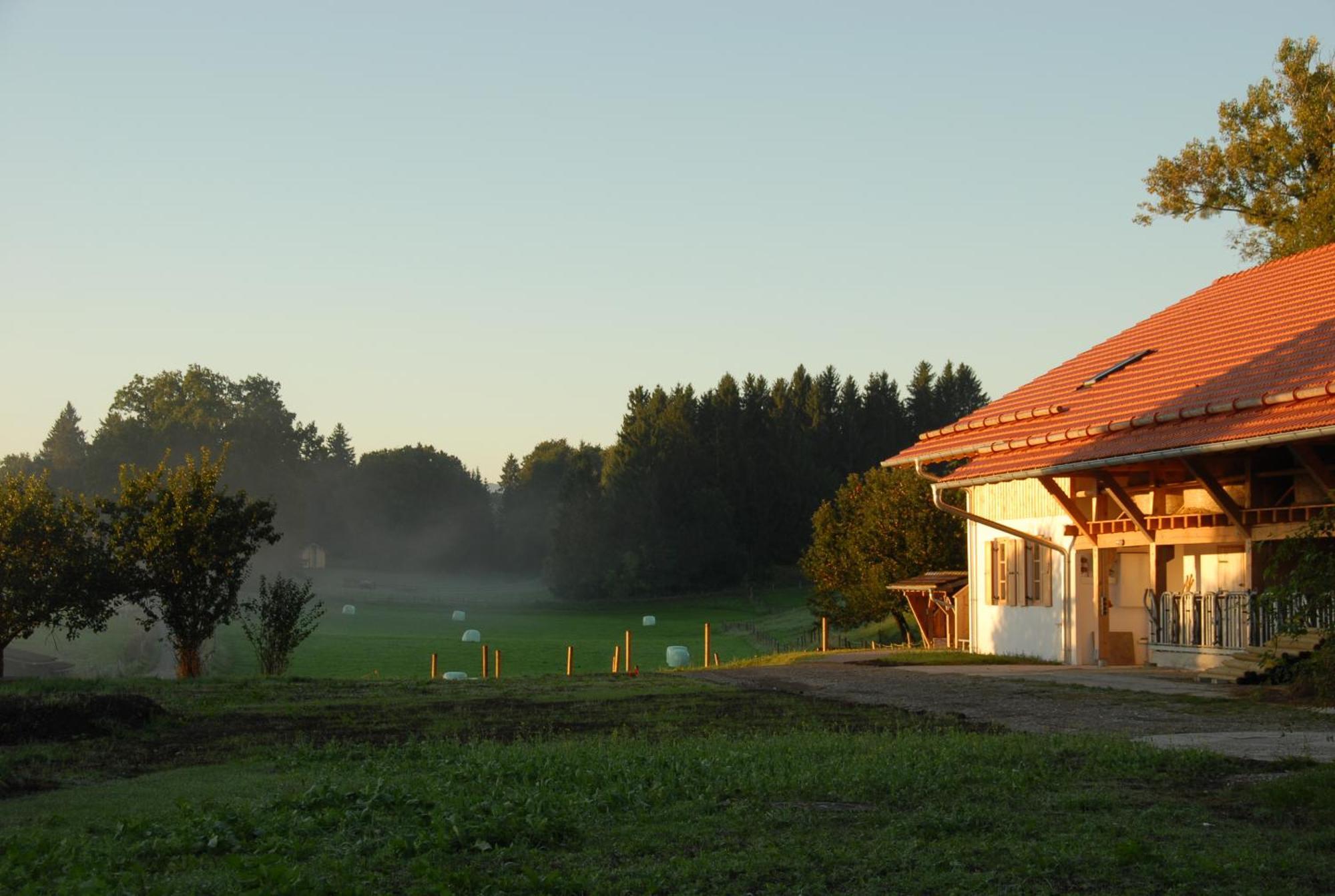 Zweilindenhof Seeshaupt Exterior foto