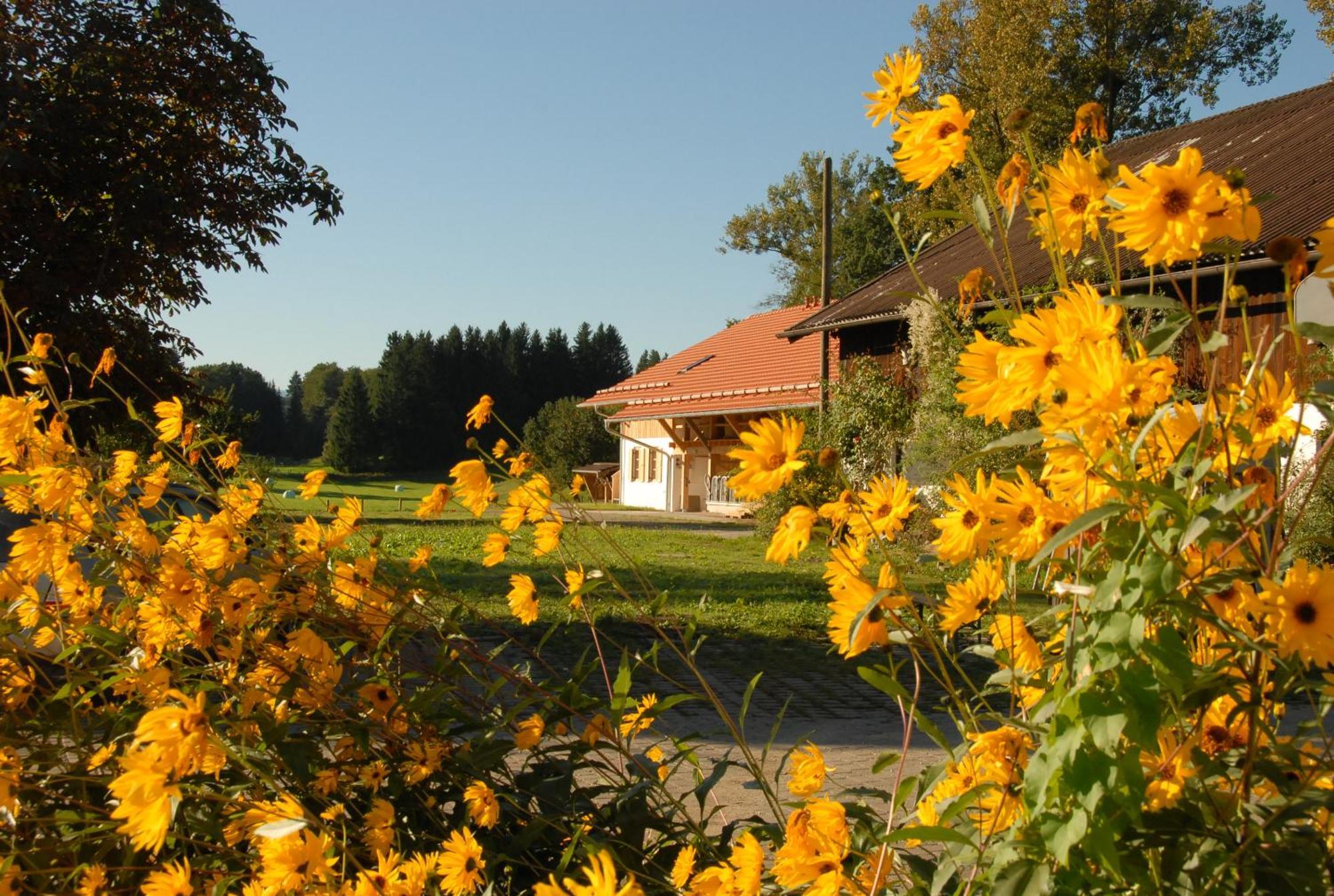 Zweilindenhof Seeshaupt Exterior foto